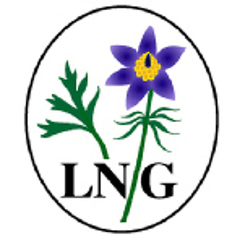 2. Gesamtvorstand des LNG